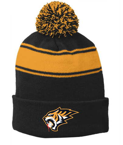 Team Varsity Beanie