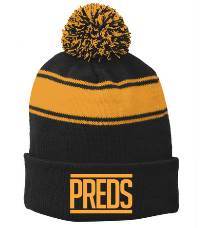 Team Varsity Beanie