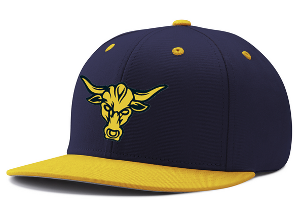 Pennant Snapback Cap