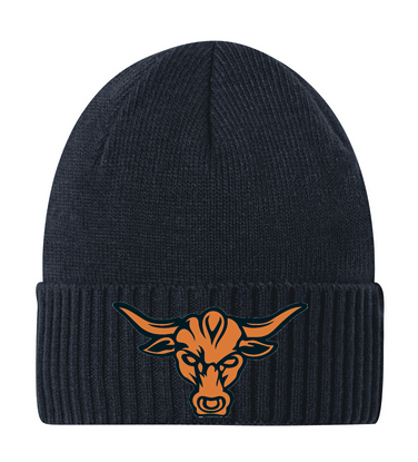 Rib Knit Cuff Beanie