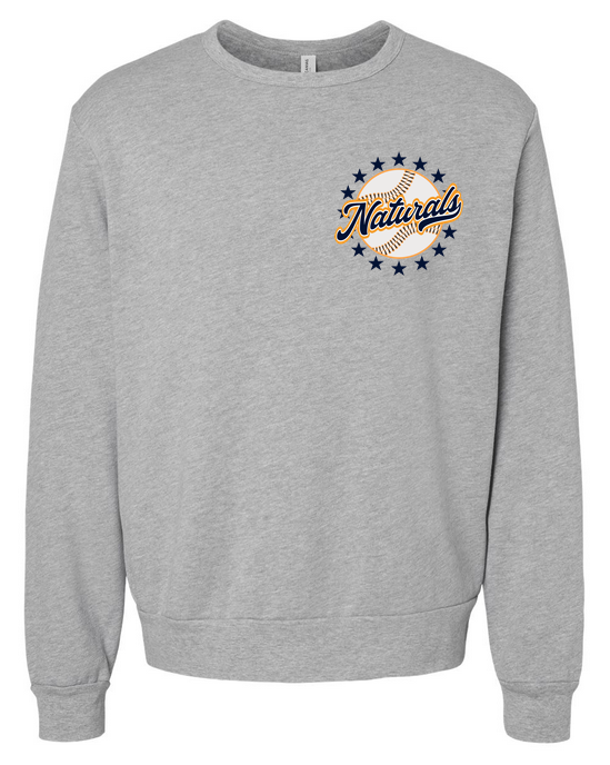 Embroidered Sponge Fleece Sweatshirt