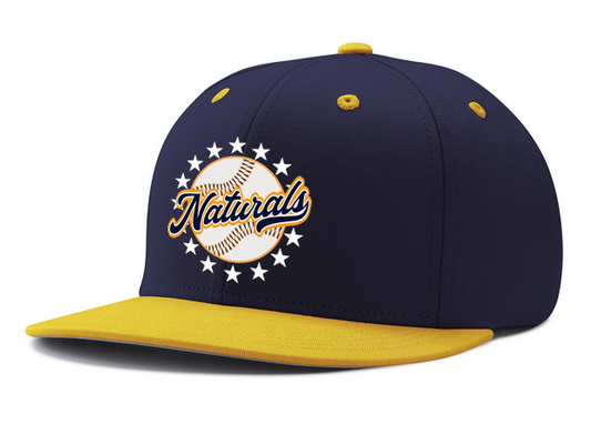 Pennant Snapback Cap
