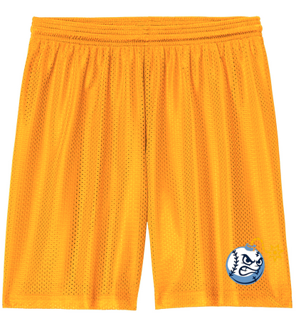 Sport-Tek Mesh 7" Short