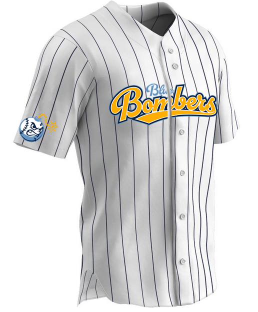 Team Roster Pinstripe Jersey 26